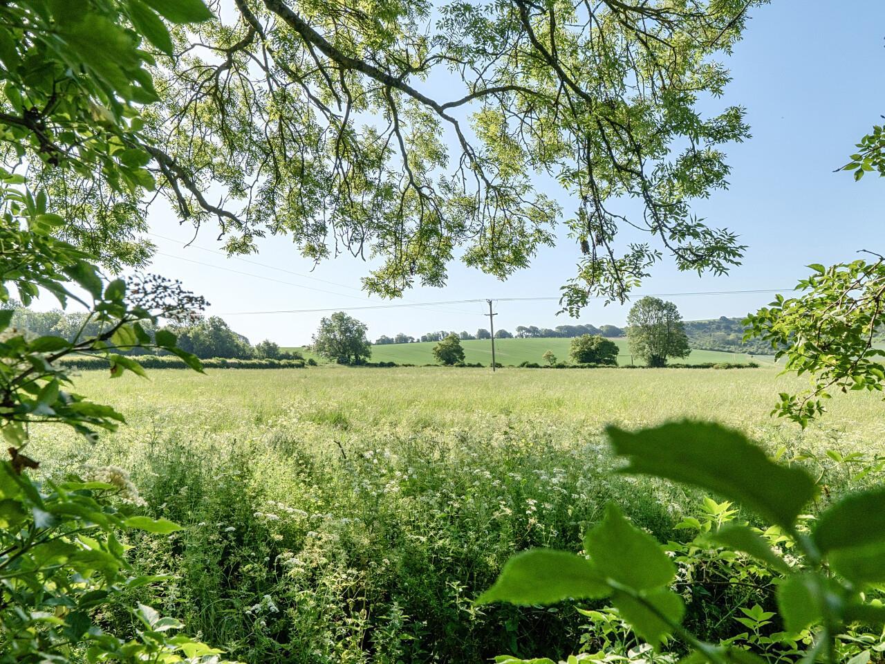 Property Image c0fe615c-f60e-409e-88d1-b943cacb1103