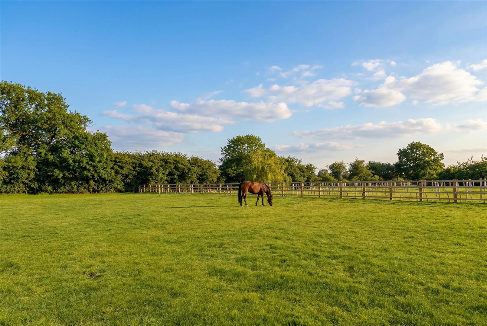 Property Image c118cc2f-3fd7-476b-afe1-e69f6e0350d1