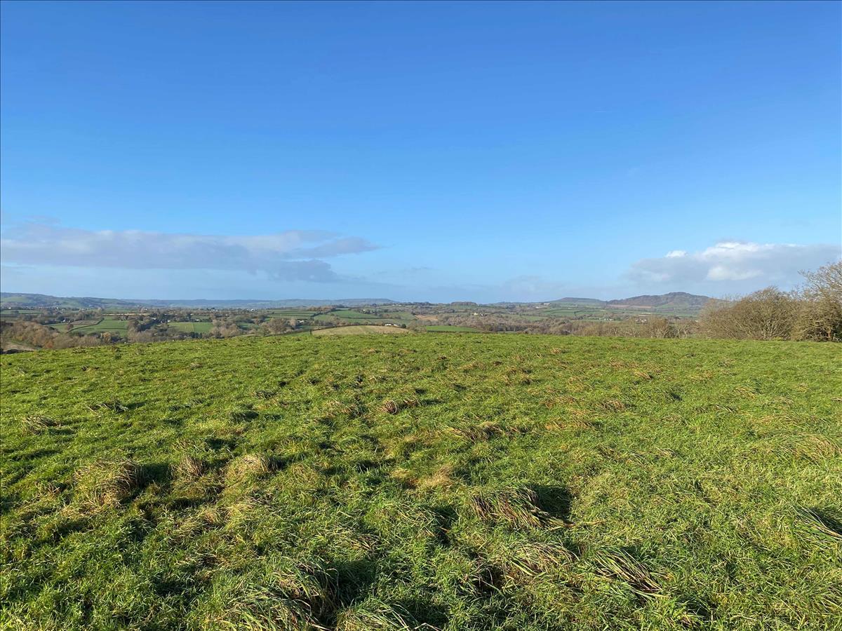 Property Image c1611207-e45a-4f93-874a-399abadb5264