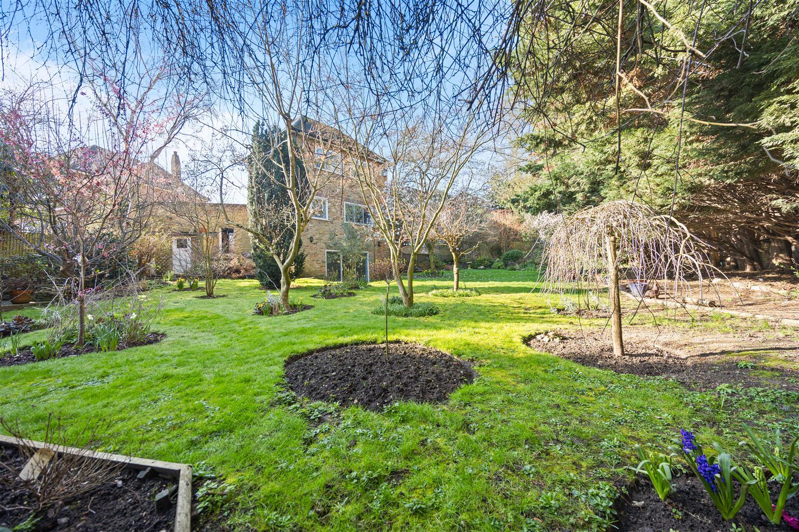 Property Image c181849c-29ab-48d5-ad88-70091c79bc55