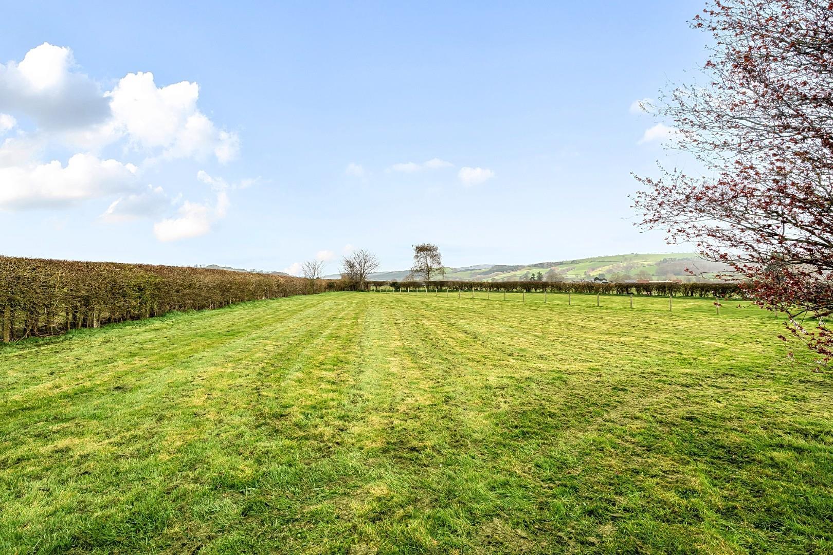 Property Image c1963133-9bb1-4da3-a763-5f4df237d595