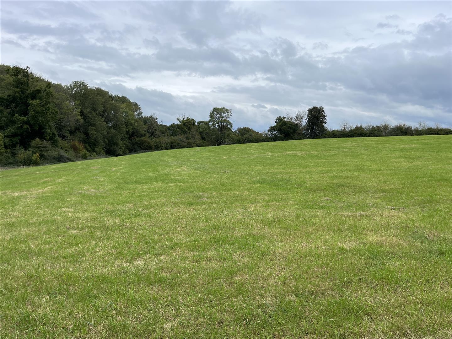 Property Image c1ac4a39-abbb-4fa8-84bc-d6b88cac1a17