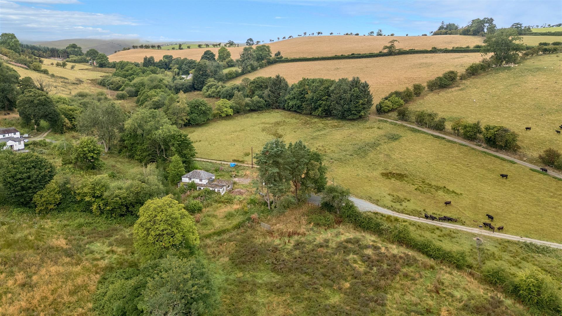 Property Image c1fc5c4e-b4d7-4f1d-96a2-13b08b62433a
