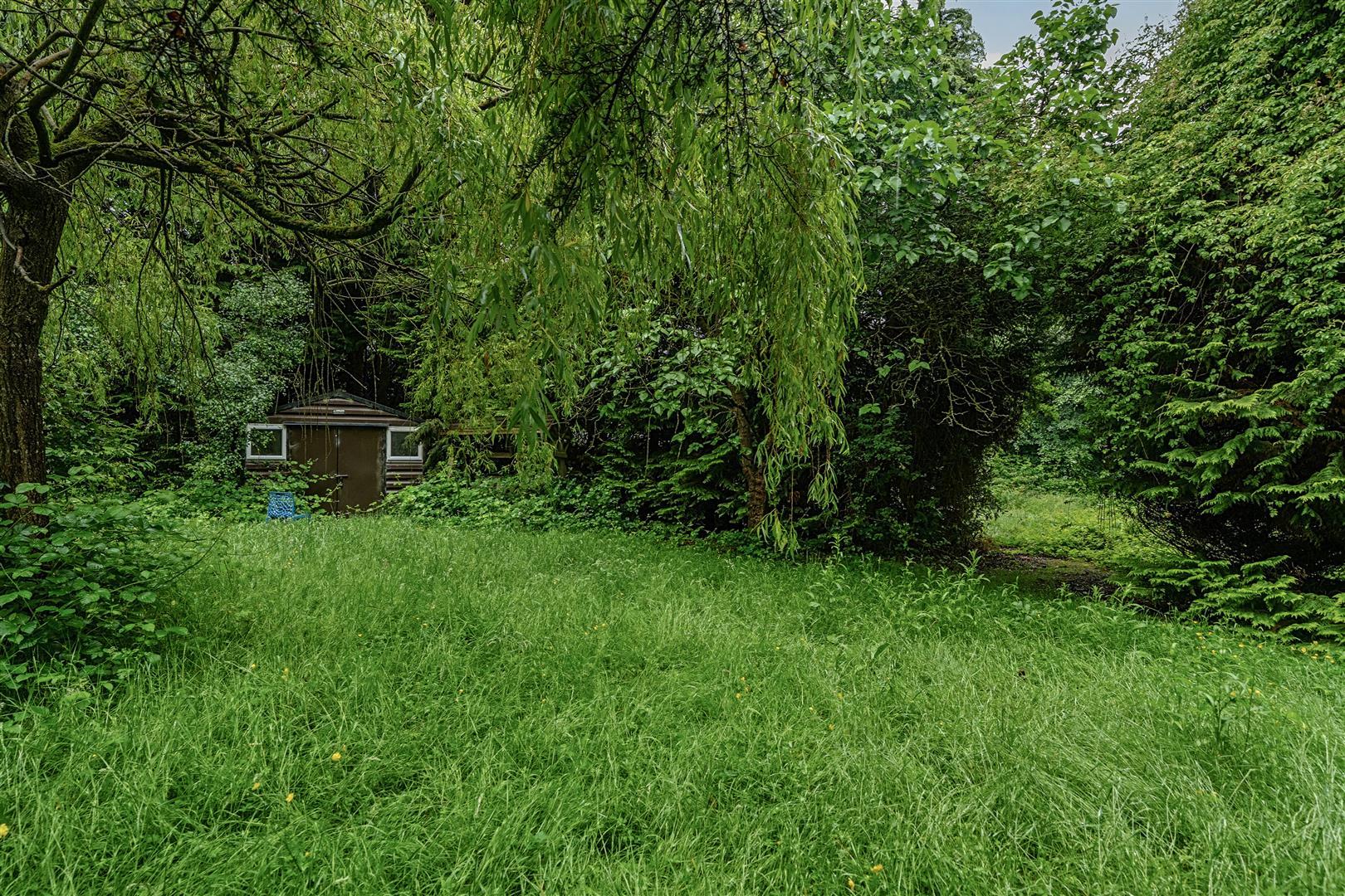 Property Image c20781d4-33a9-452a-a88b-9bea90e26e1e