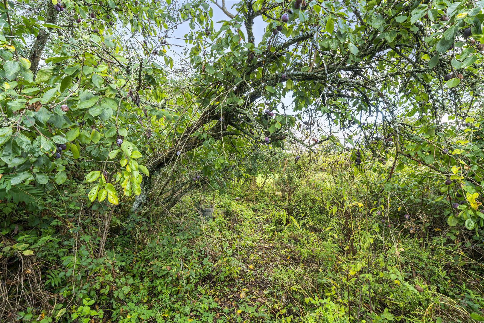 Property Image c265d8d8-2b1c-4974-a7f4-c34fe4f92748