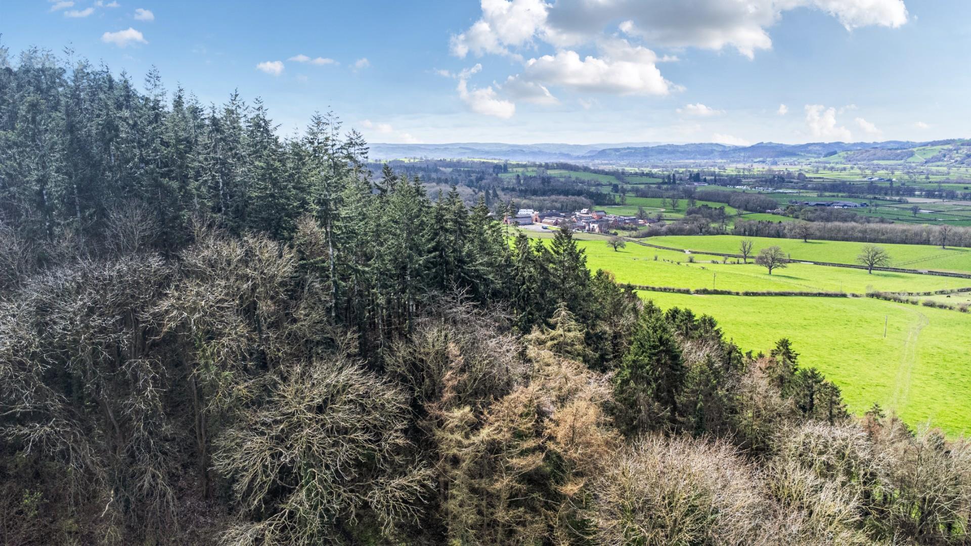 Property Image c2a44cd7-a80e-42b4-b4c9-ce38d86d039a