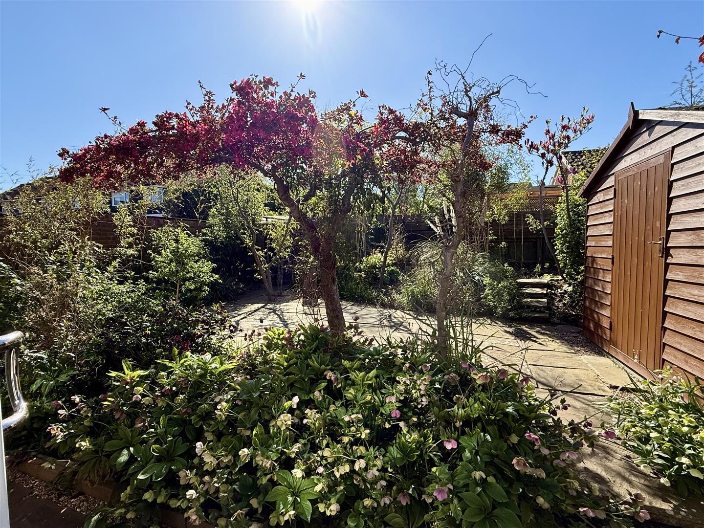 Property Image c2be7f4d-d779-473a-96d4-03f7a0248578