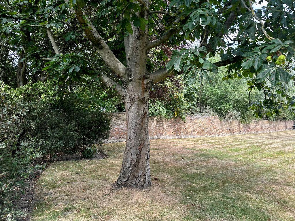 Property Image c2c446f7-b3f4-48c5-93a7-5b927d4e580d