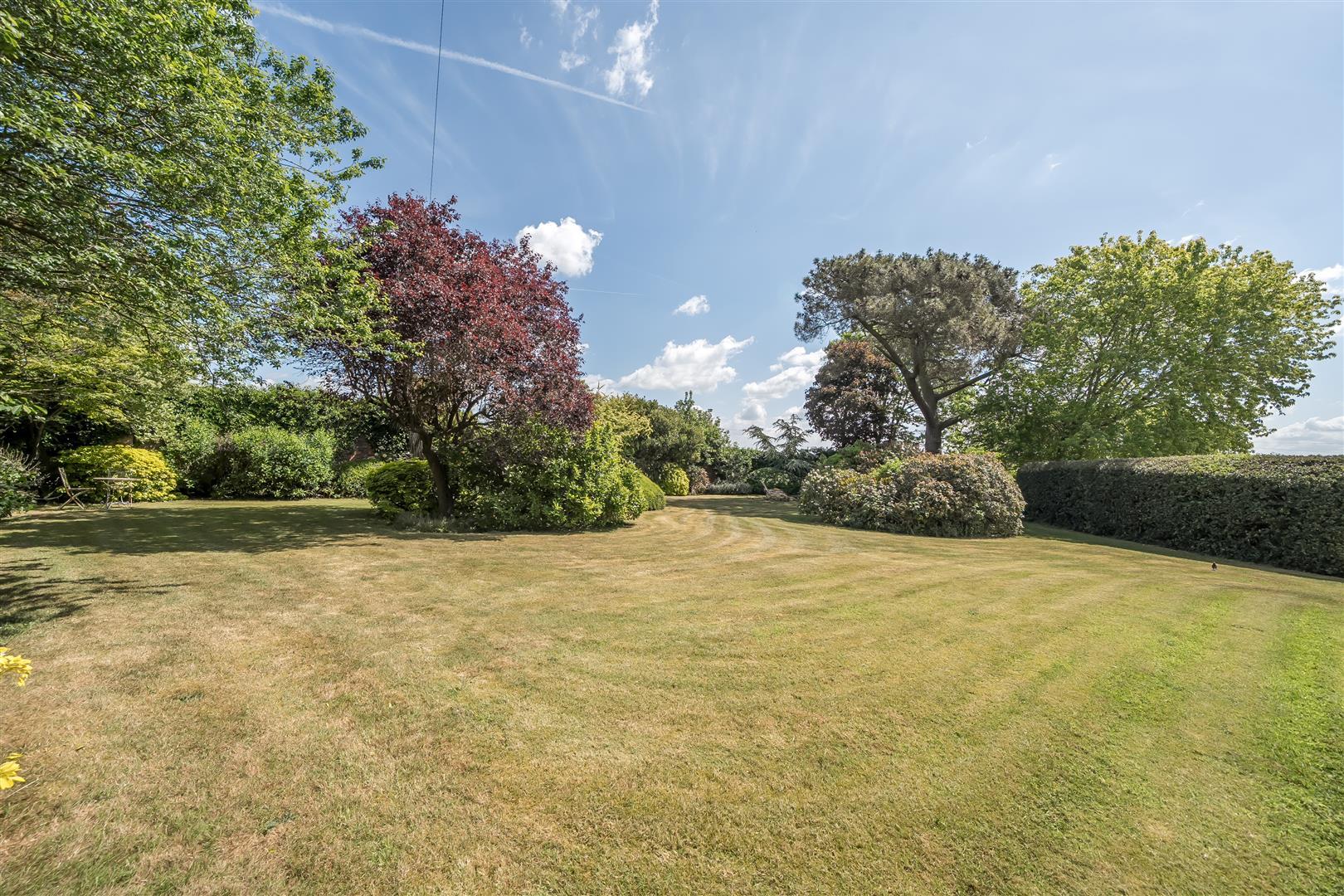 Property Image c2e3ac1f-dd51-4d66-ad2a-64ff70f9ecbf