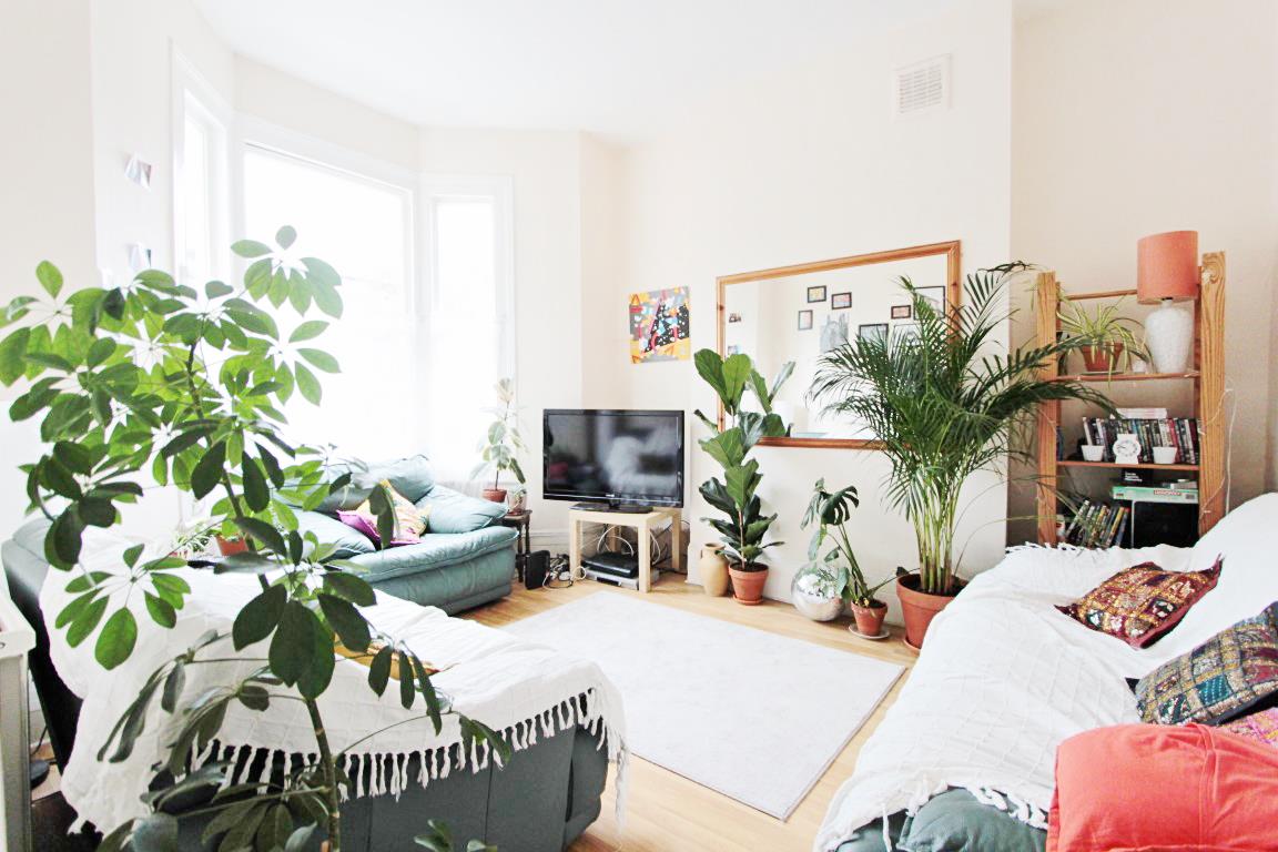 Property Image c3415d9e-8819-4a74-a802-395848f81a6f