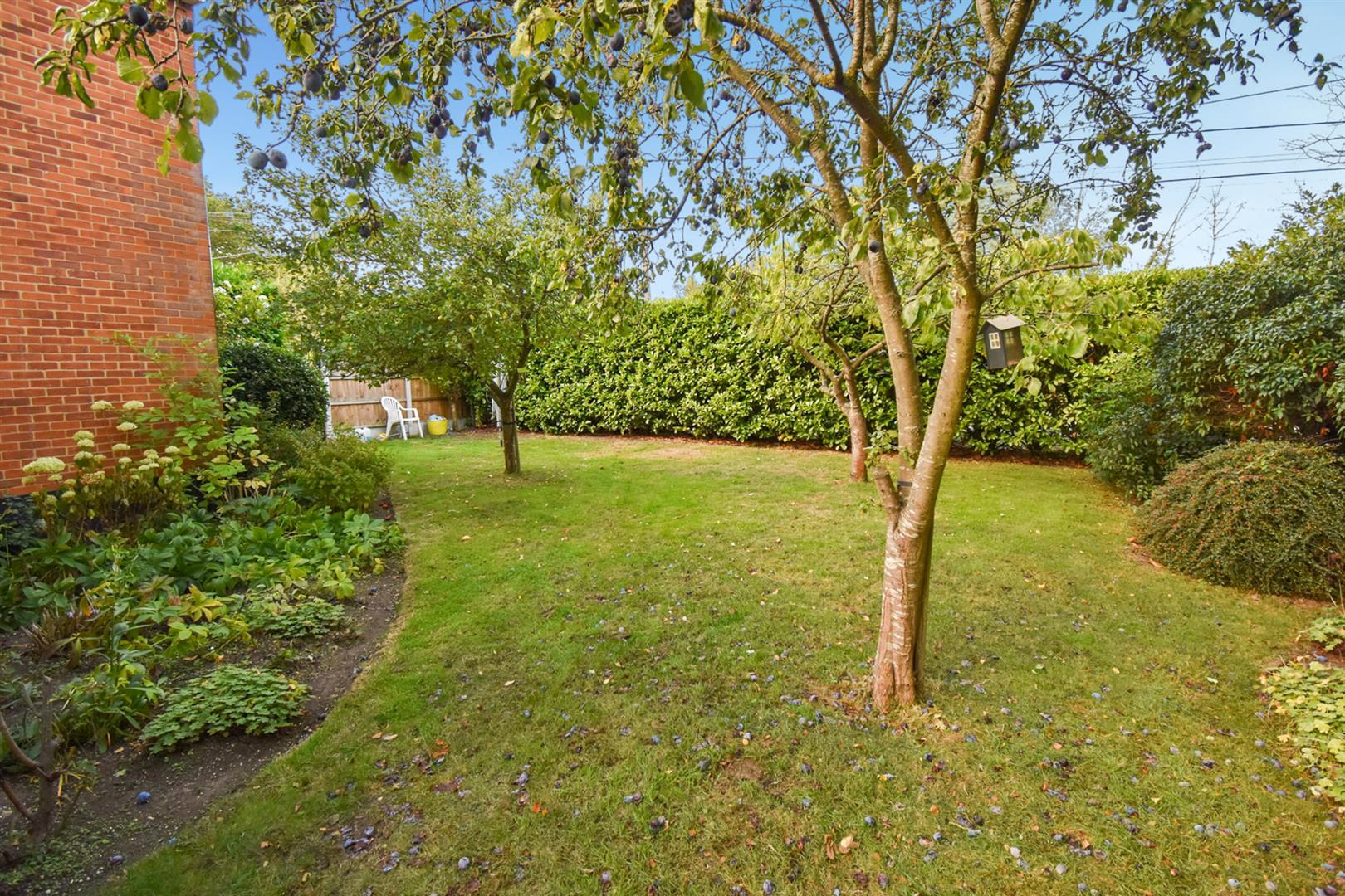 Property Image c3674ac4-a0a7-4e57-a3a8-696c9a9e924a