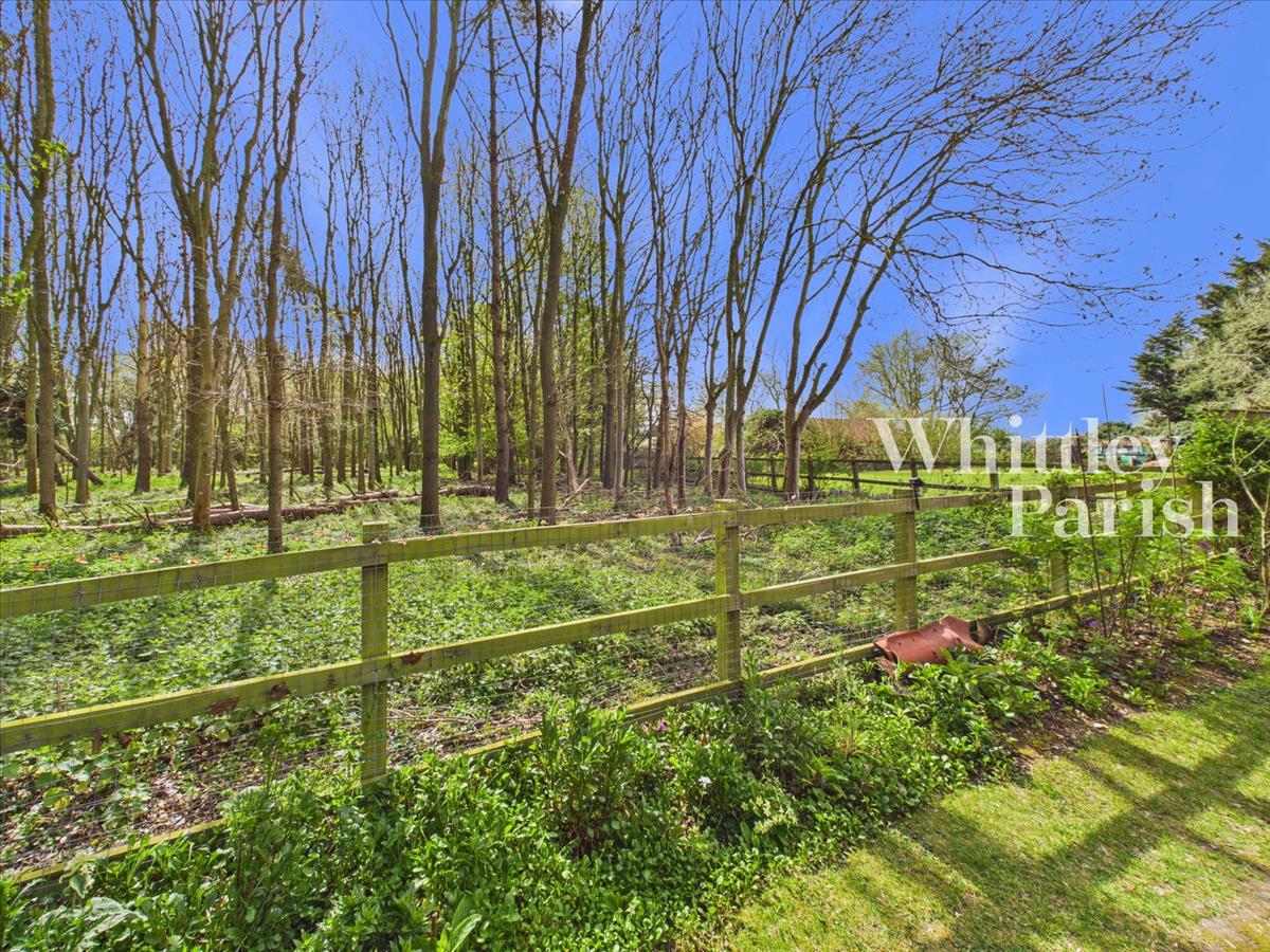 Property Image c36ea8b8-56d2-4c8c-b47c-3094bff1a771