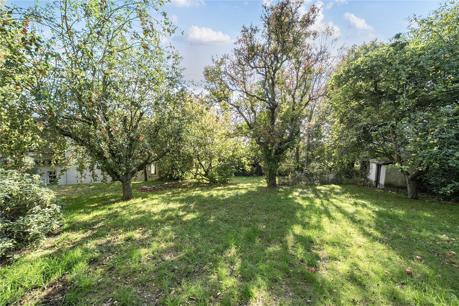 Property Image c37d1326-7bf9-47da-a1e2-88ceb2b17d80