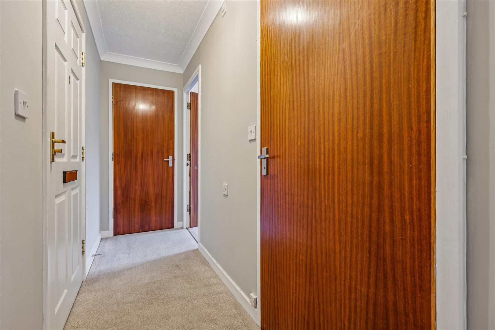Property Image c384a543-e472-4906-8776-df469d371ff3