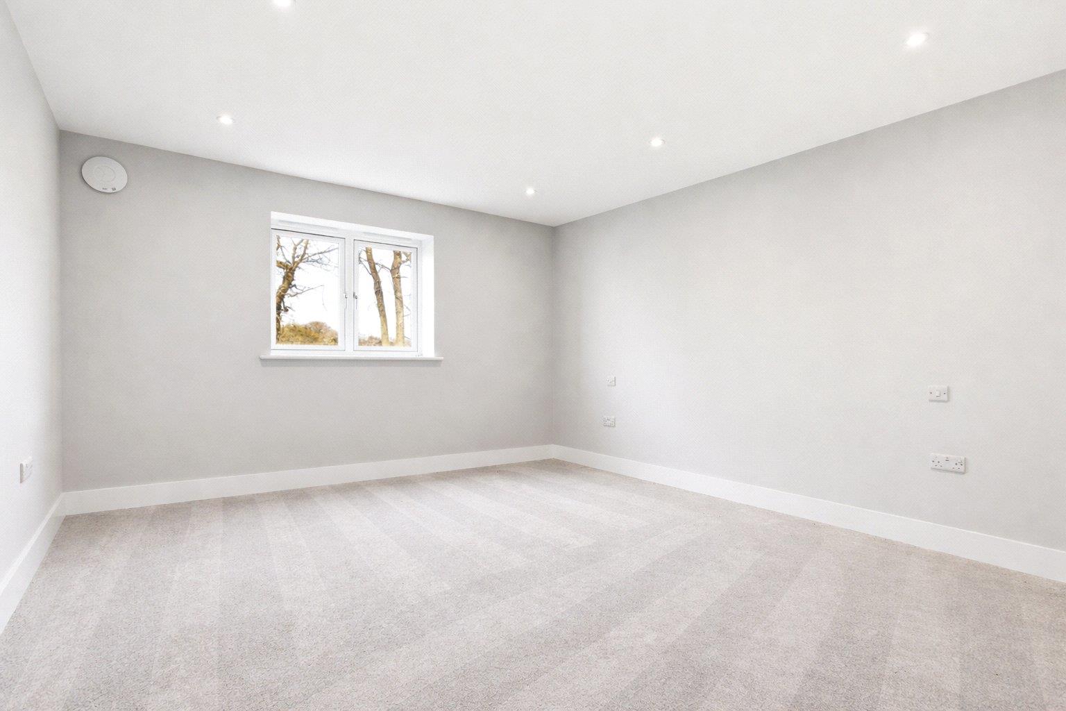 Property Image c39a1be7-b59c-4428-8531-360c08246dd1