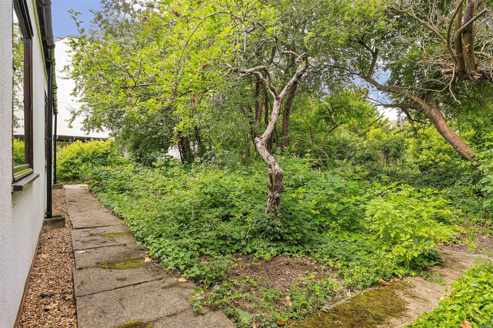 Property Image c3a2da01-0f0f-4d02-bf05-f4d8a144e5cc