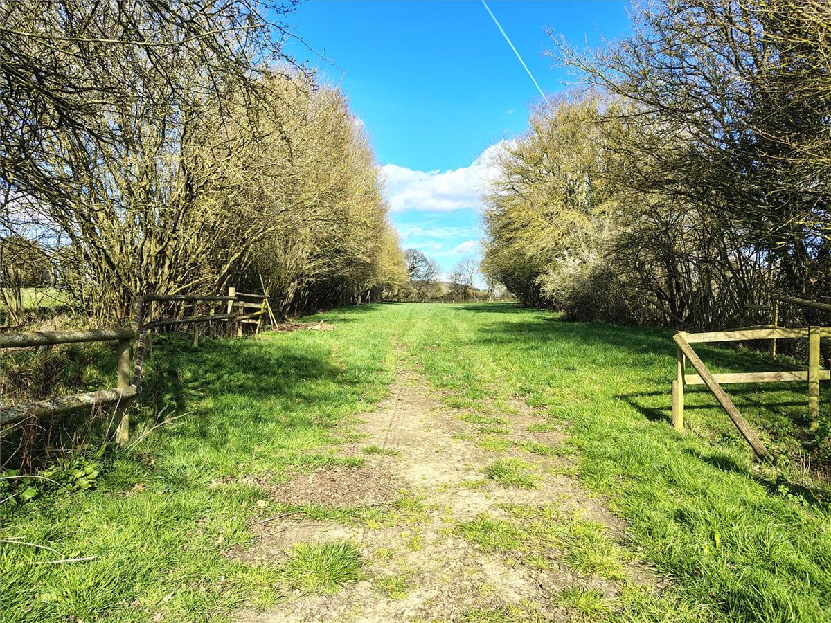 Property Image c3dc4c23-20df-4d1b-a429-2eff63ff752f