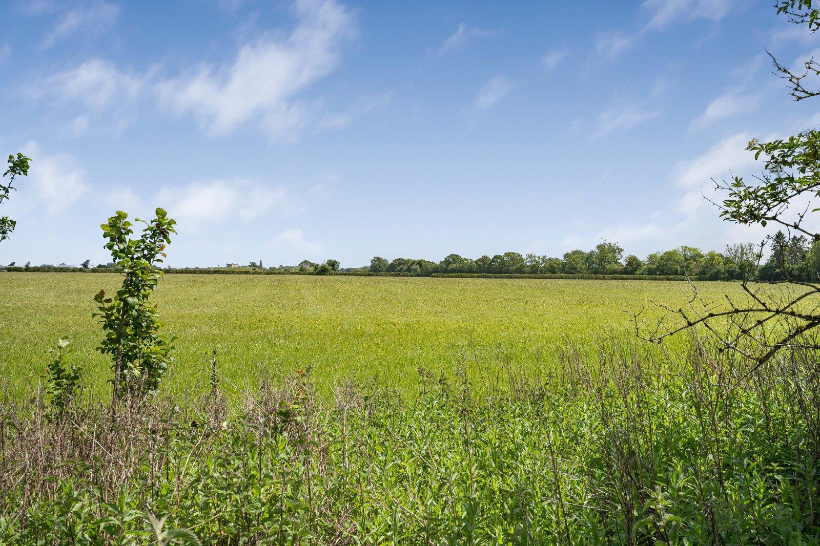 Property Image c408dd62-65e9-4c29-b5d5-87fee497acba