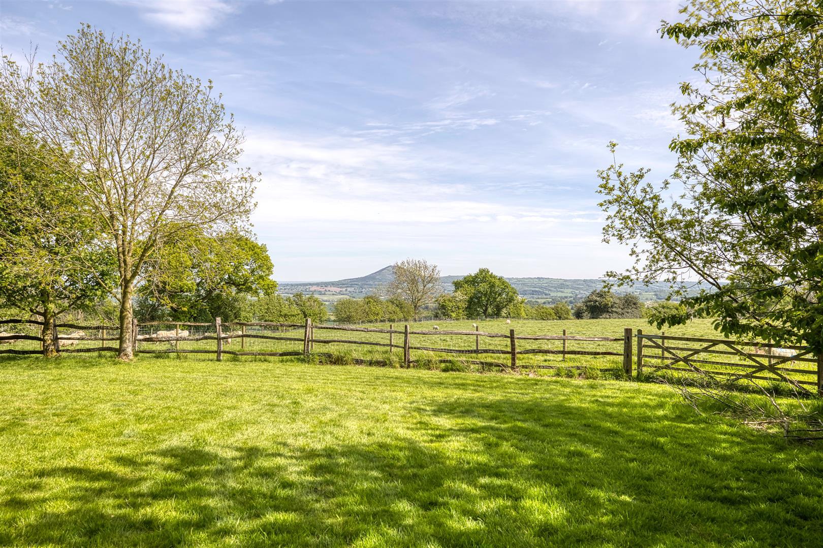 Property Image c4199f26-edc9-4389-adc9-b6ee8566cae2