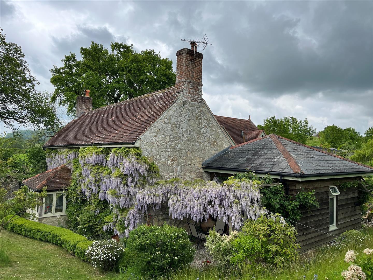 Image 23