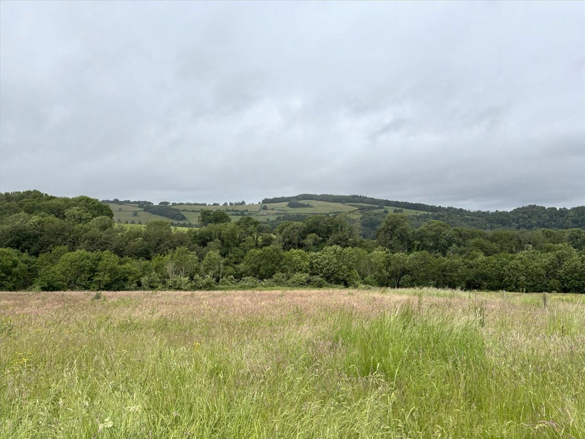Property Image c44a519b-221a-4204-8db6-b6e015cc4f0b