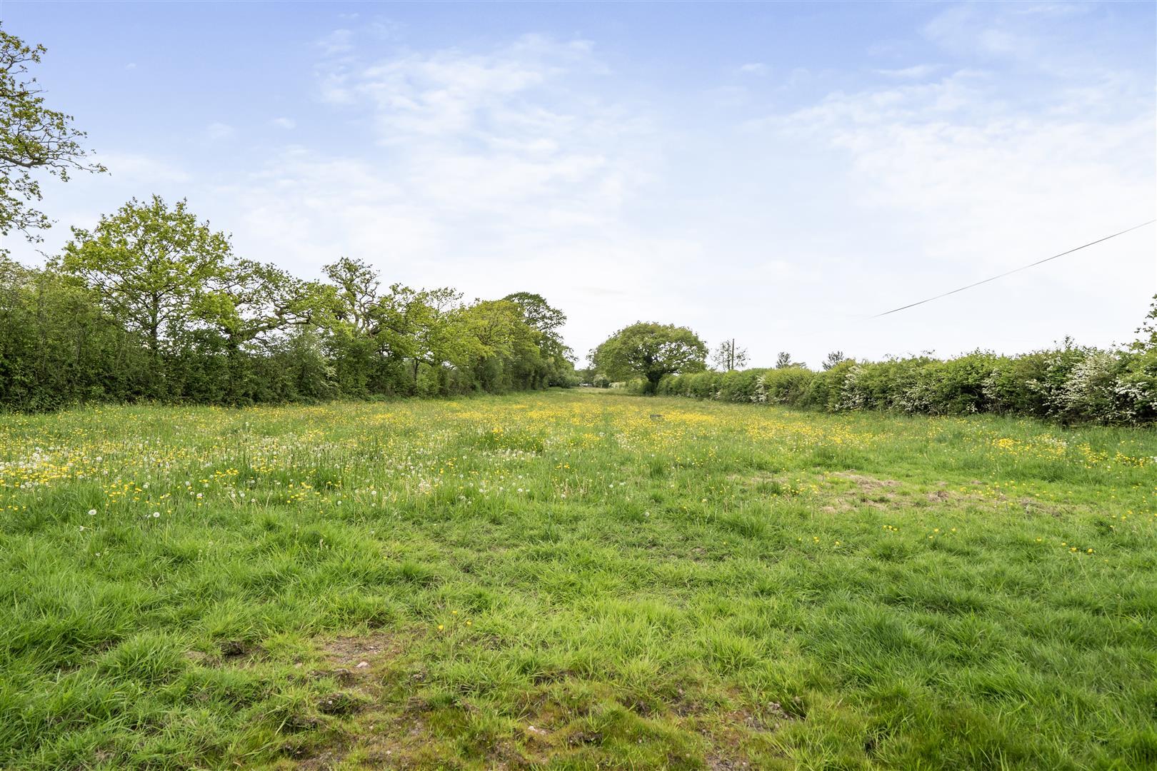 Property Image c454b04b-0529-4d1f-8a9f-29965fb6f62d
