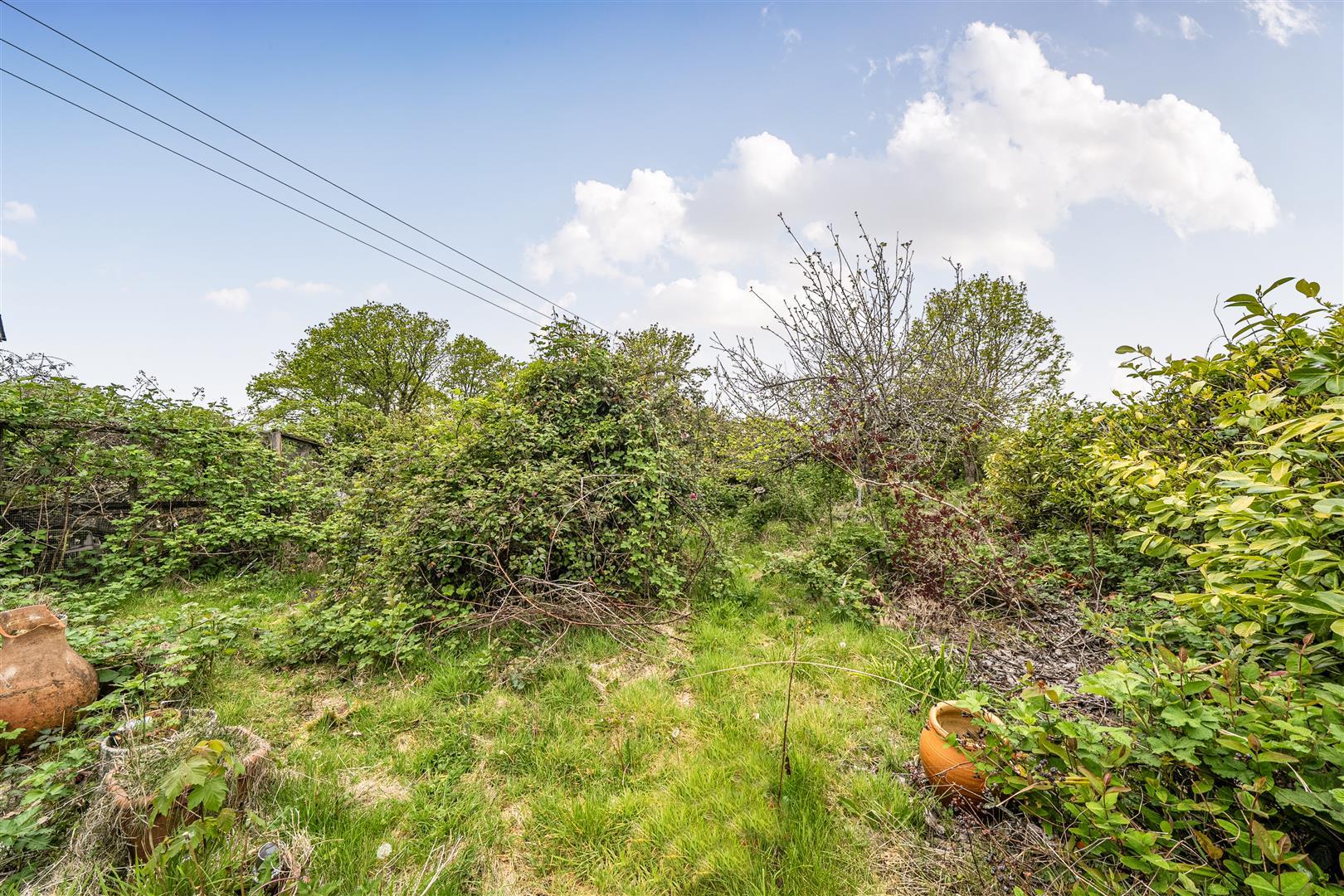 Property Image c46d282a-061d-467f-b642-bee6254e7386