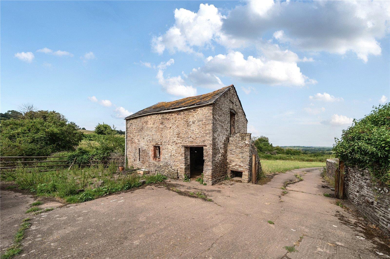 Image 15
