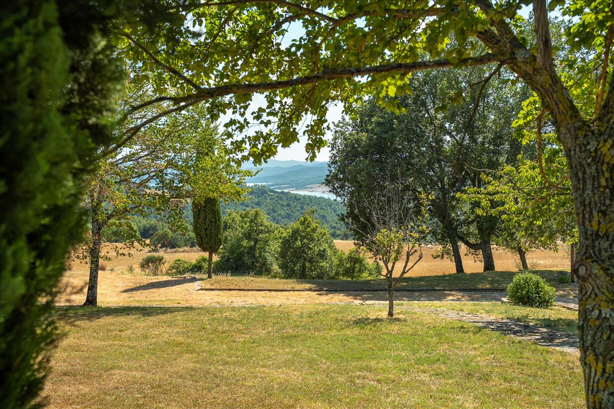Property Image c482600e-2e41-47c2-bcc0-71fae060d1ec
