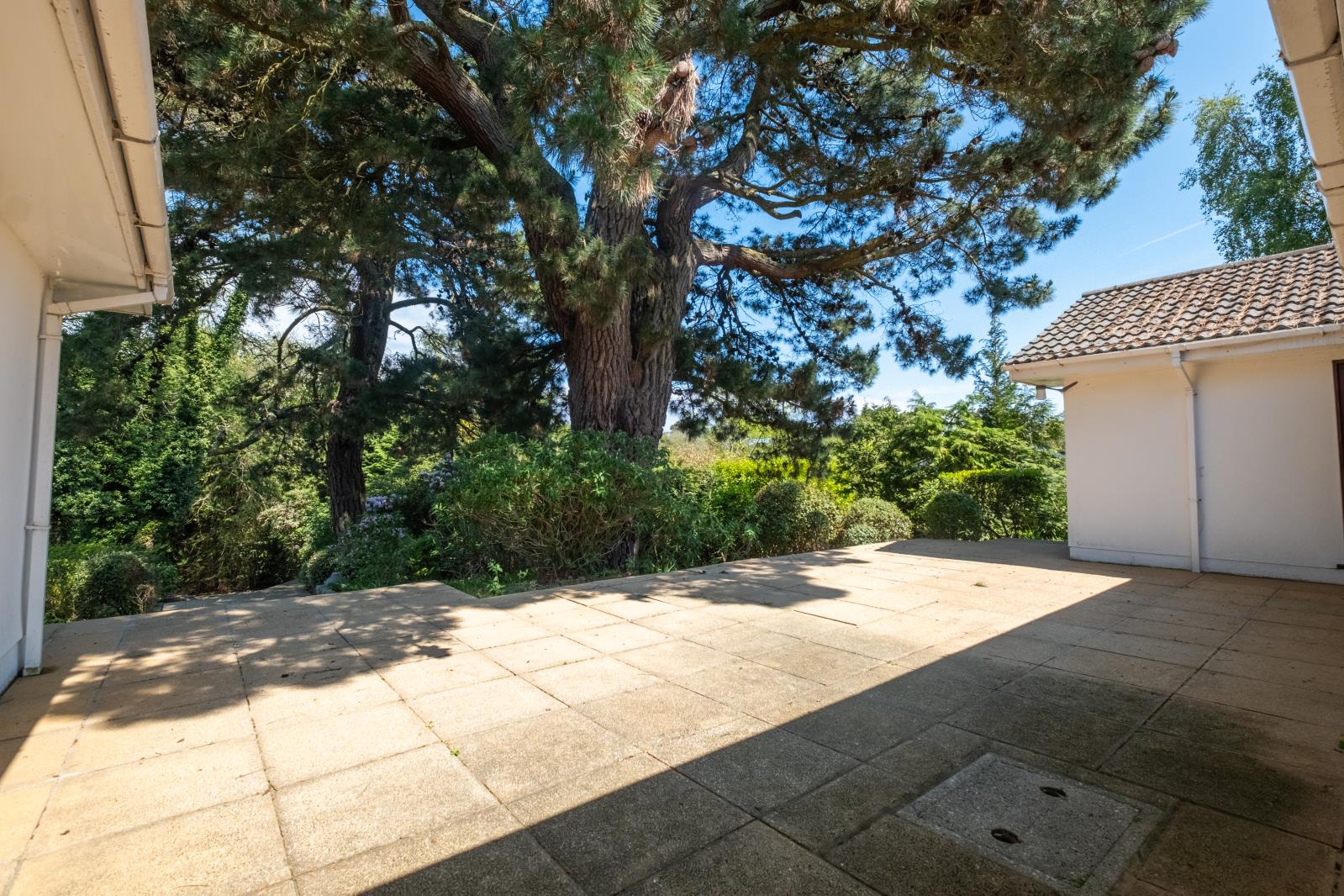 Property Image c493215e-823f-425d-a782-231bf69cf086