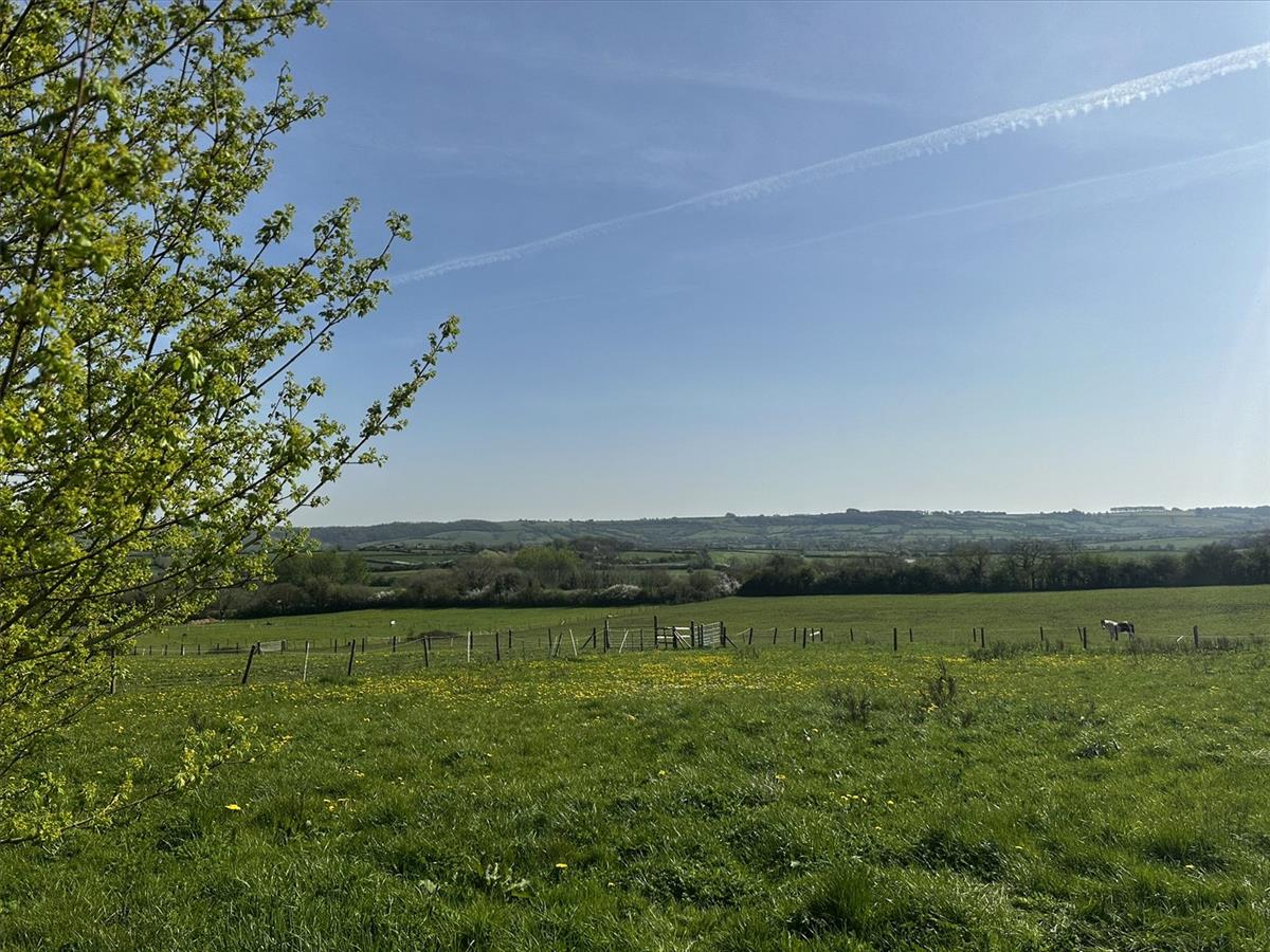 Property Image c4a9cc1b-d346-4f40-a92b-a91eea6d6f95