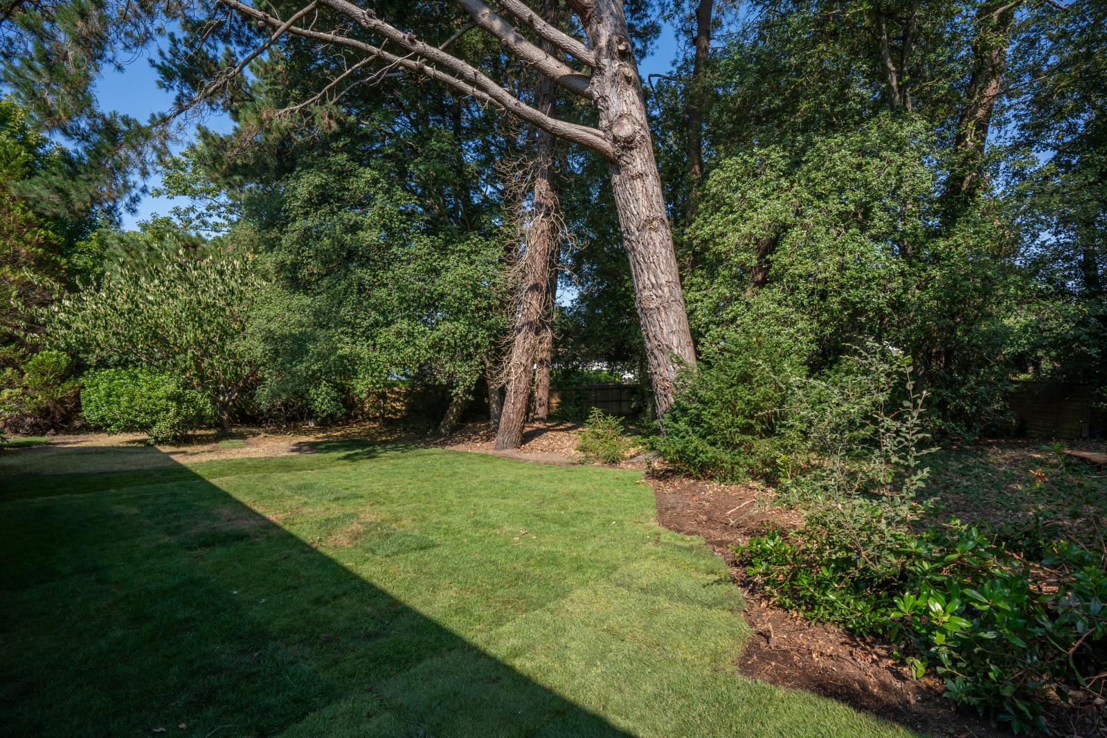 Property Image c4b28ff3-36ce-405d-b93c-64c580975849