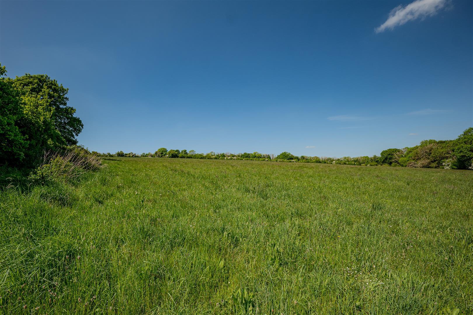 Property Image c4fda024-2d0b-4749-9fb1-ec9bd6eb55c9