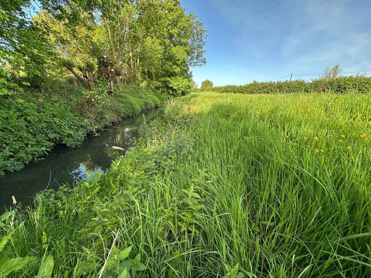 Property Image c565415b-9889-4ff4-a679-89f990072051