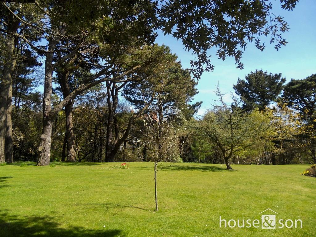 Property Image c56ea84c-5c9c-411d-9f04-b2e9a925f72d