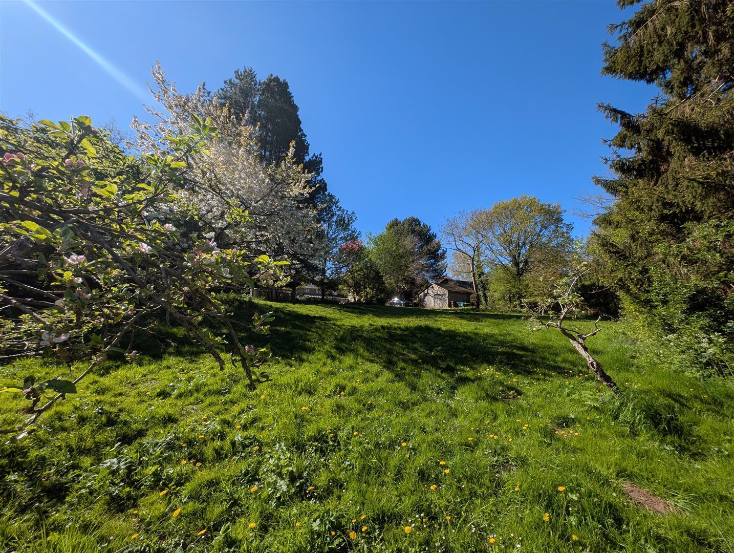 Property Image c5731558-6762-4528-aef9-cd5cd2de3f74