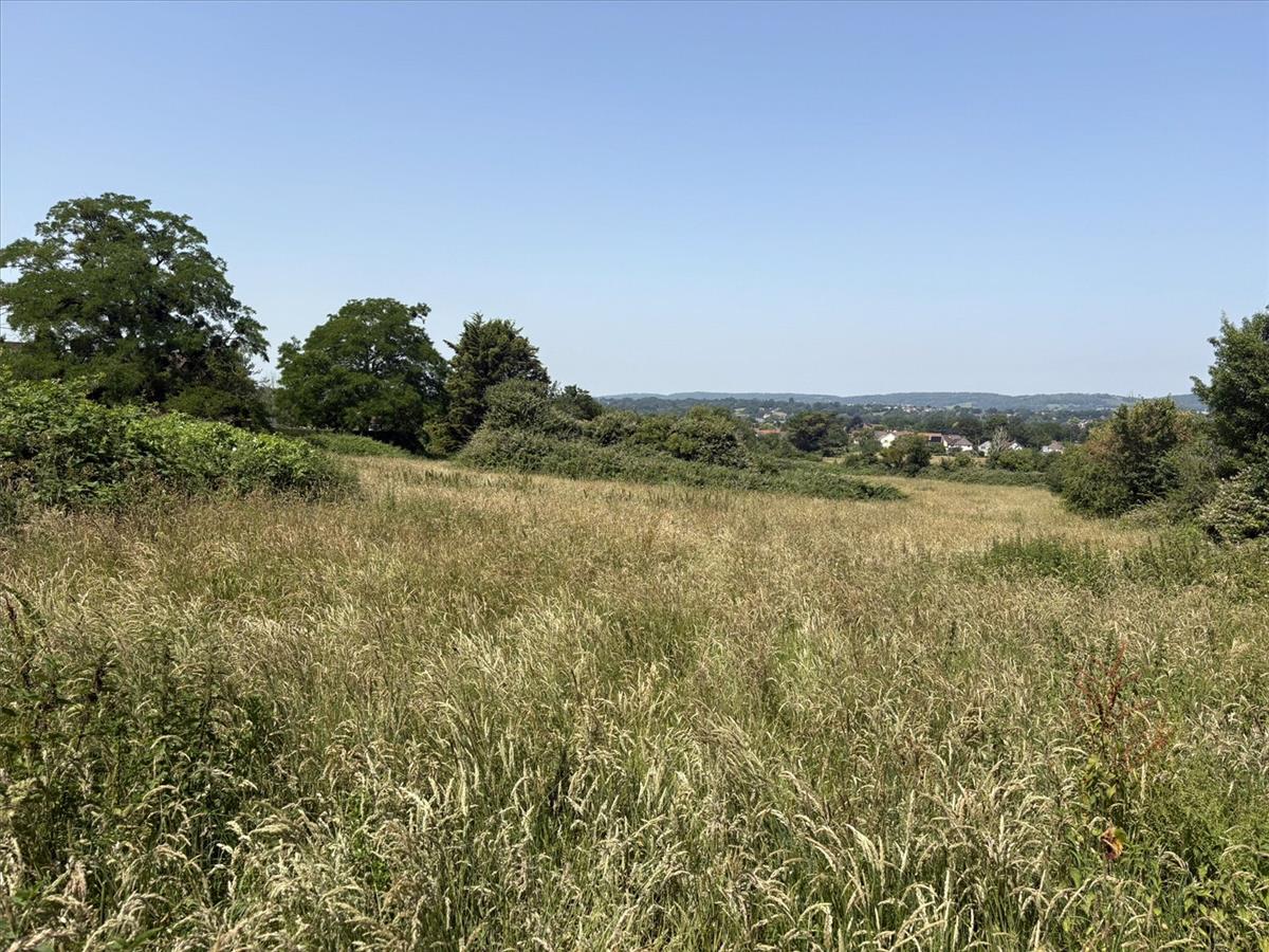 Property Image c57b6b90-47b0-48eb-a387-486a41e2c34e