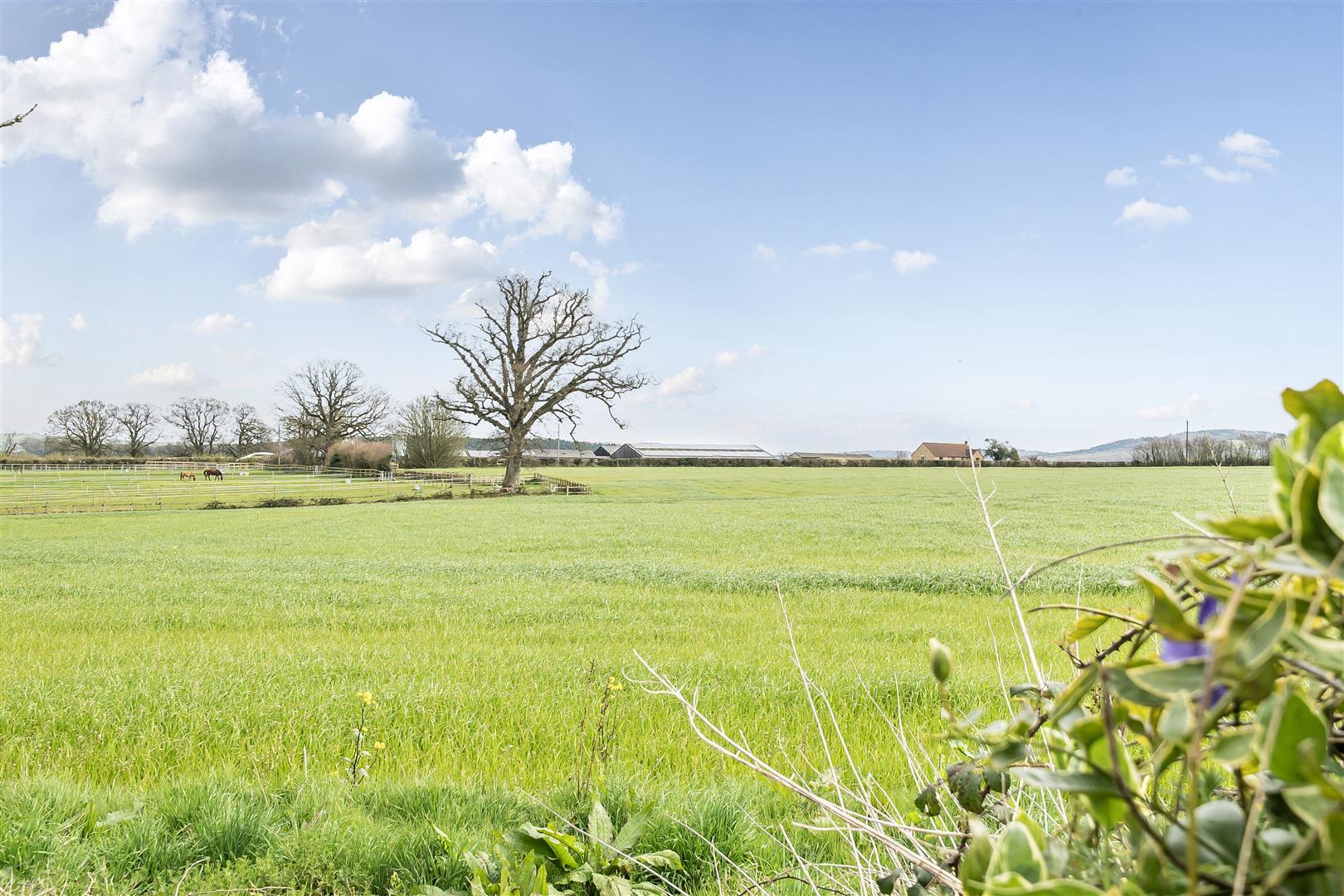 Property Image c5cbfd34-cf54-40d5-abab-03ea1ec31b0f