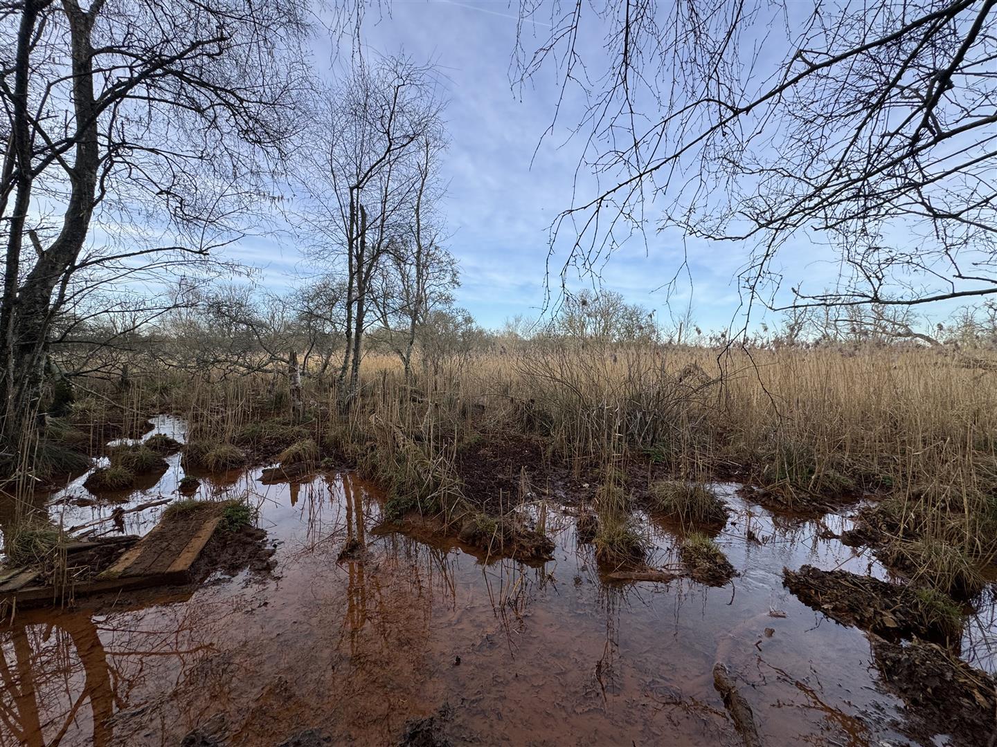 Property Image c5f8eabe-02c8-4e0a-83f2-856774096928