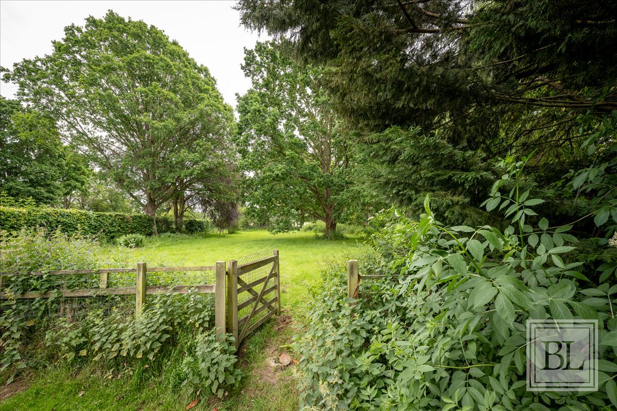 Property Image c60c9e20-dbcd-4388-ad09-0d361a21eef5