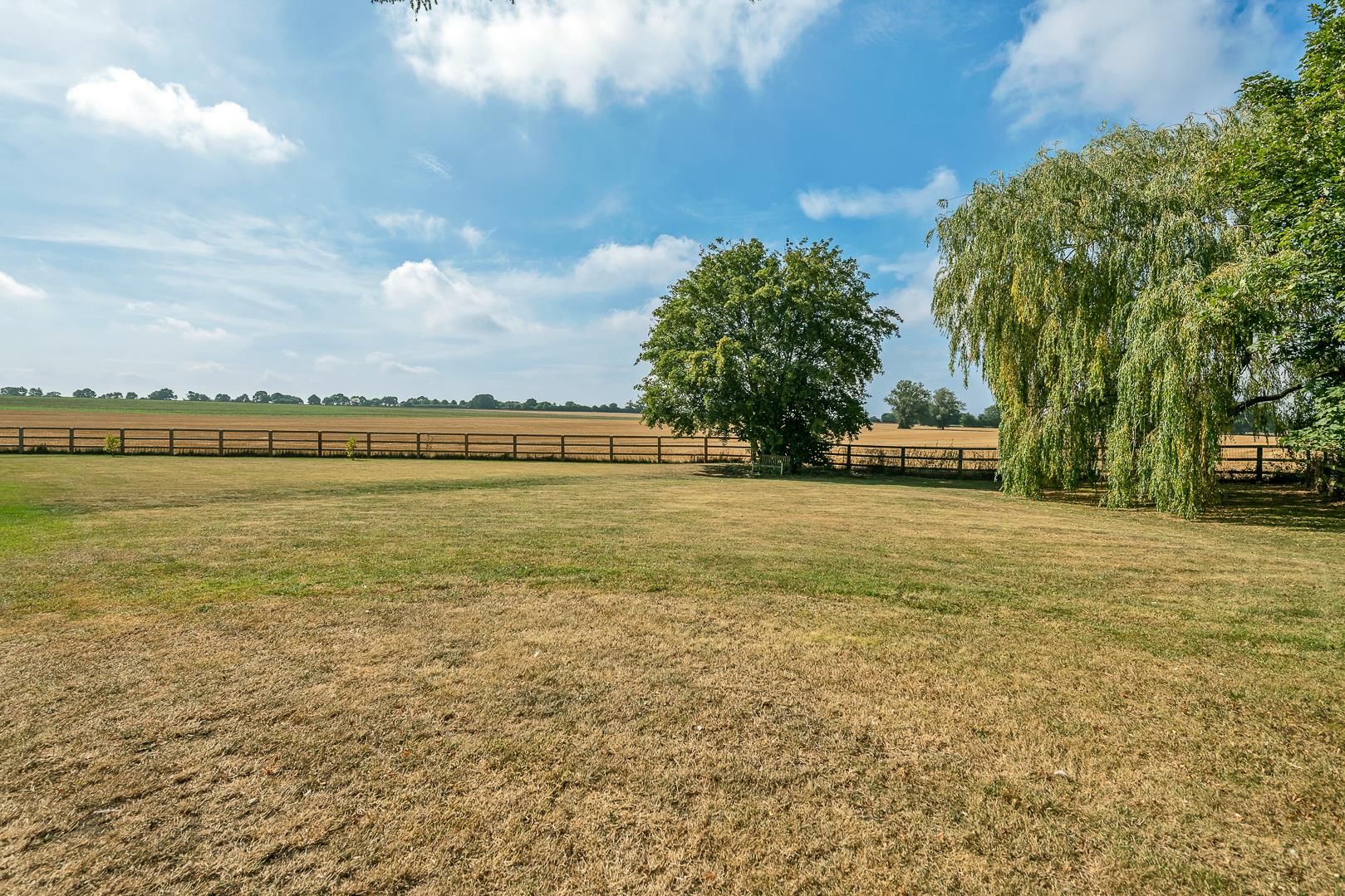Image 15