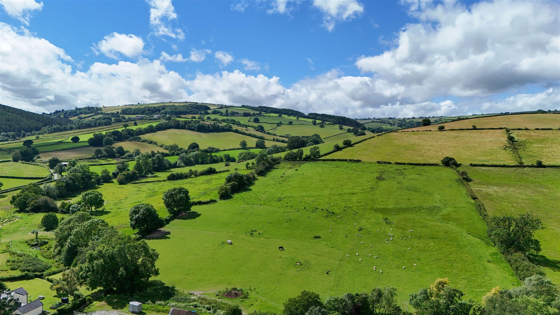 Property Image c67e56fc-d0ca-441e-ac80-4da22313523e