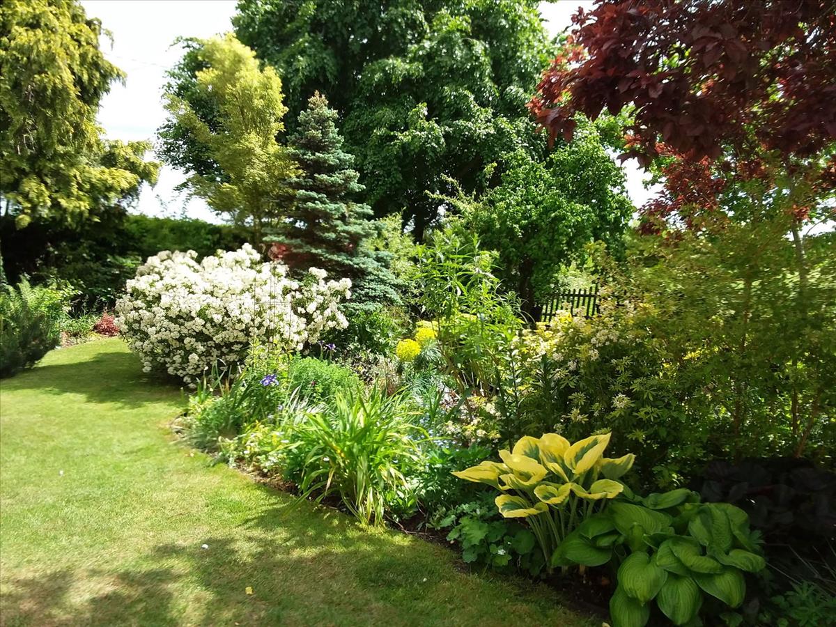 Image 33