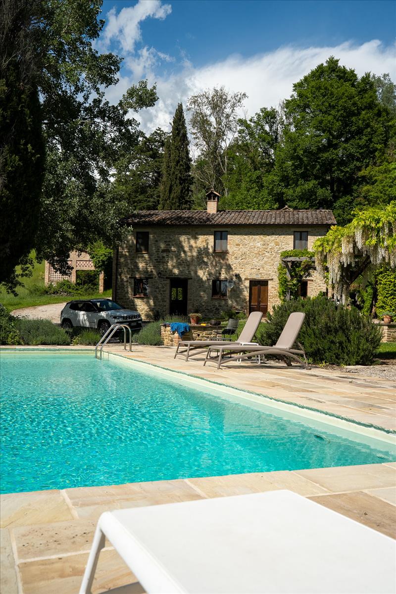 Property Image c6bf7334-276b-44c1-a8f4-8685fed7031d