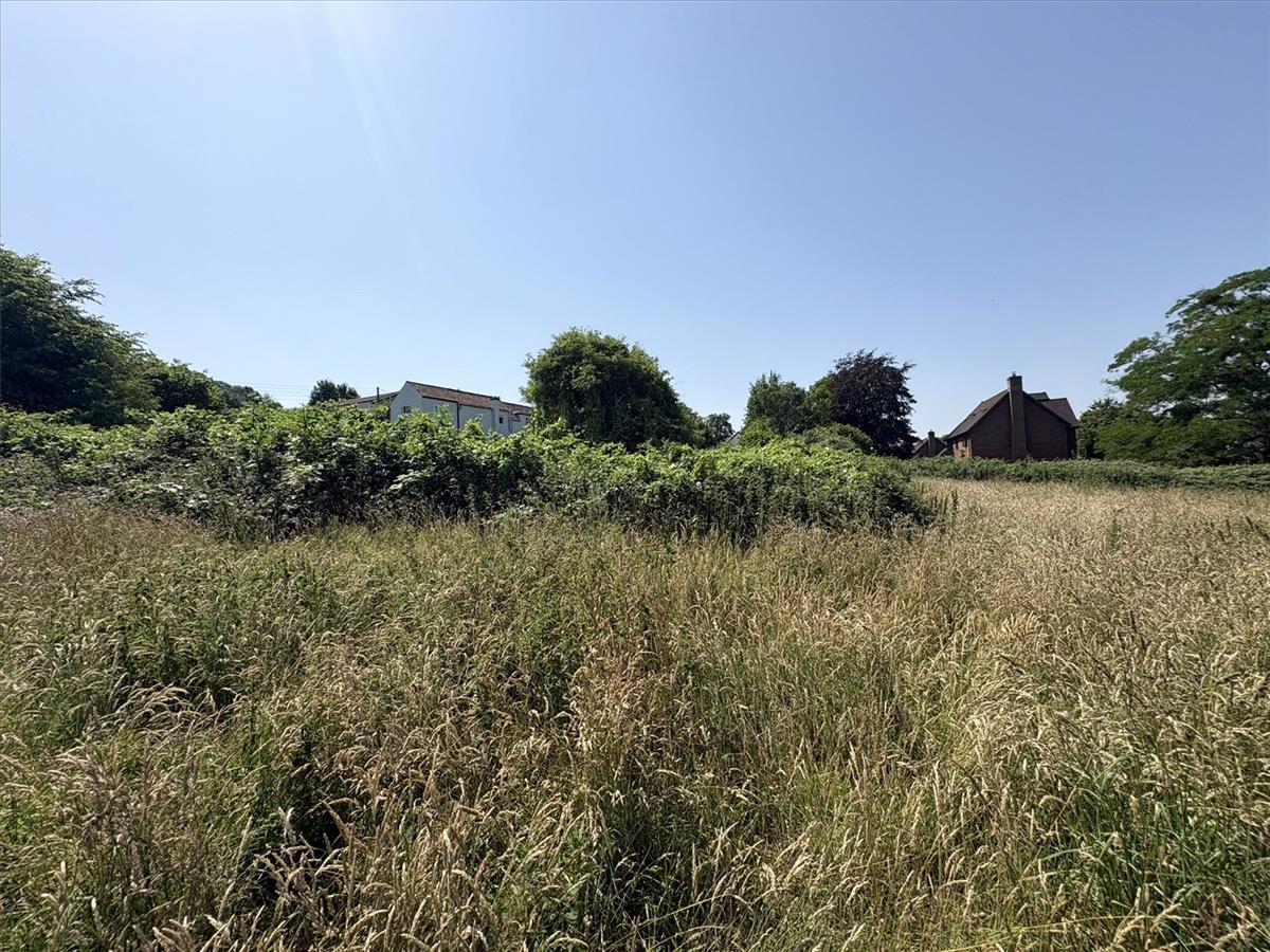 Property Image c6e947a2-6d2a-4bce-a388-e4445aa8975e