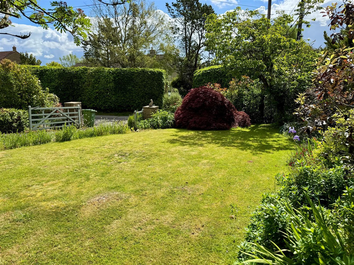 Property Image c72c312e-9da2-4f98-8518-fa8dd09b5280