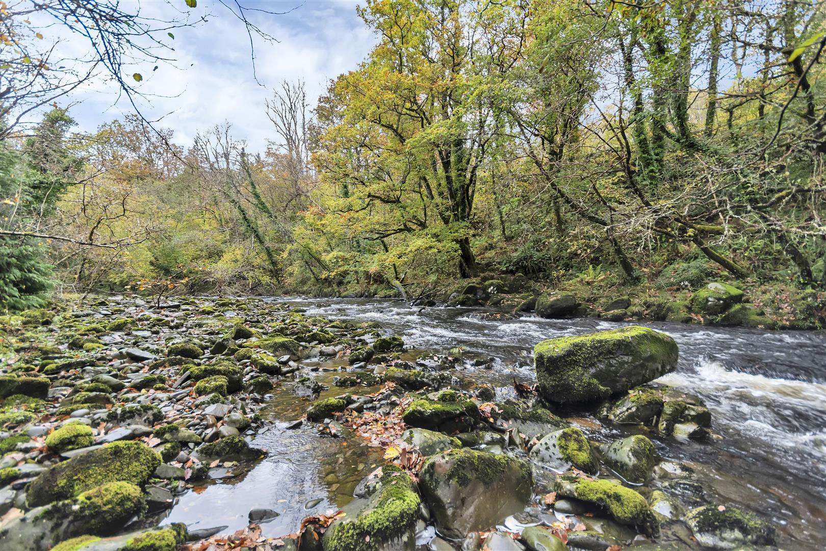 Property Image c758207b-1149-43a6-8844-a6b8a78a2f26