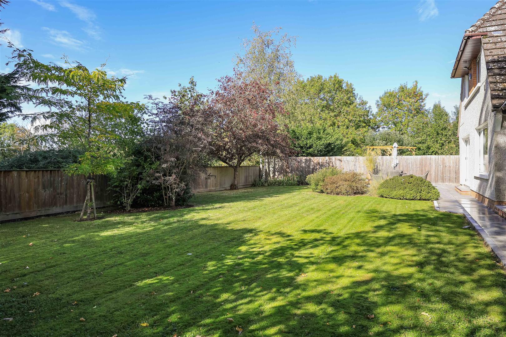 Property Image c761bd54-5532-4de0-acd5-9155bacf70cf