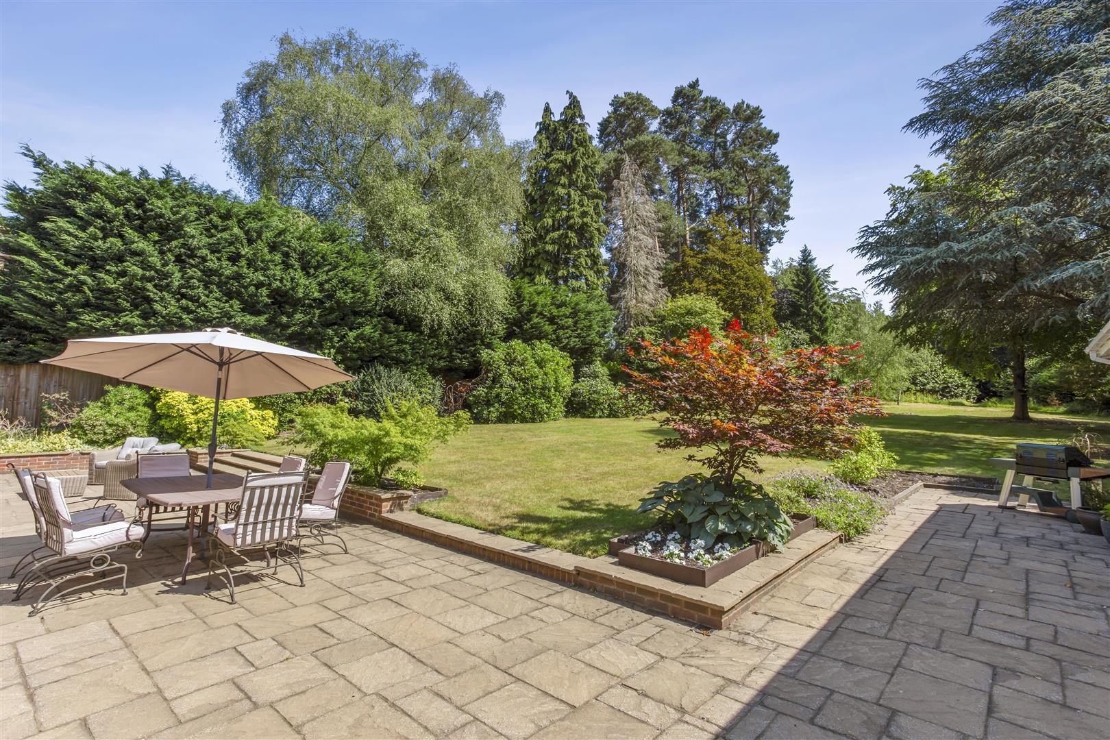 Property Image c782d093-15dd-4a52-9101-e268c39588d9