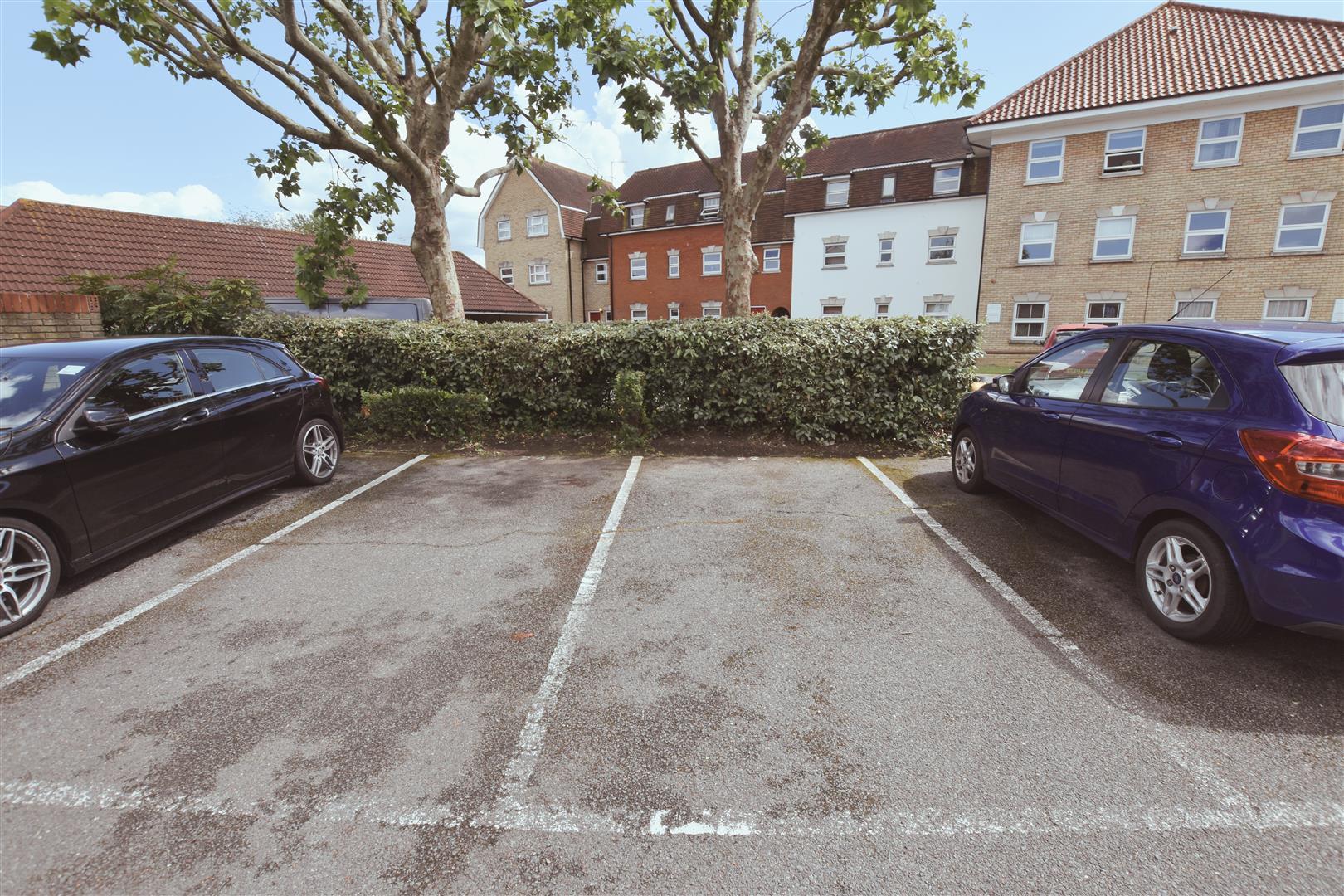 Property Image c7e3b0e2-a6e0-4ed2-87a2-d18fbd7687fd